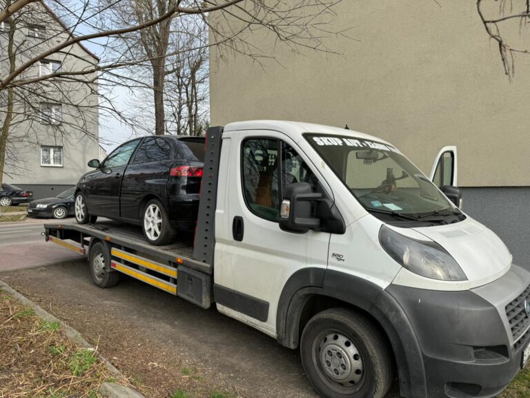 Auto Złom Bytom - Seat na lawecie